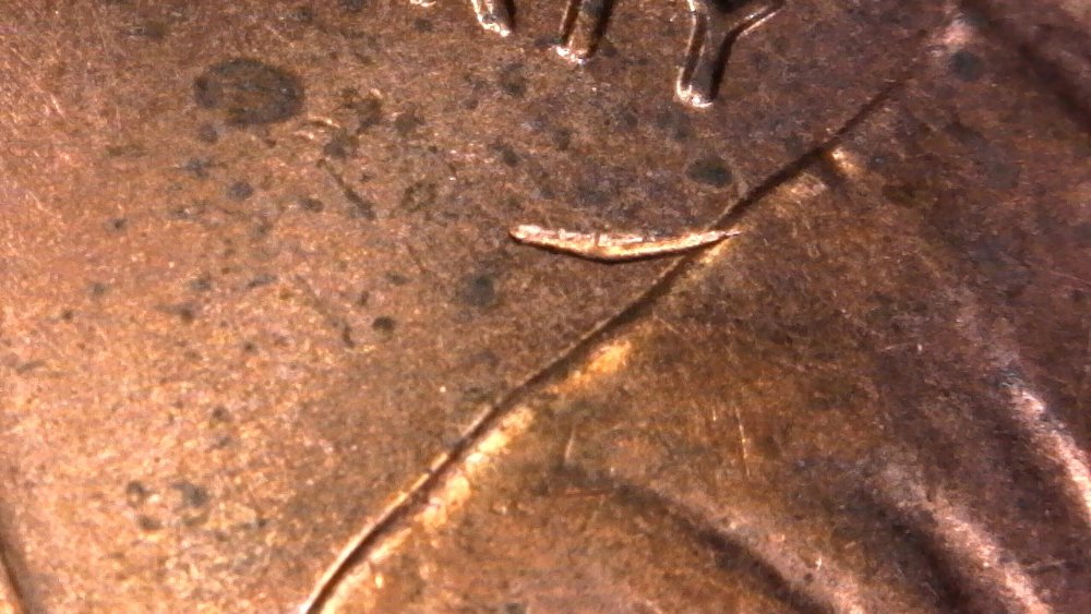 2015-P-Lincoln-Shield-Cent-Struck-Through-Saved-Off-Rim-Burr-Found-CRH